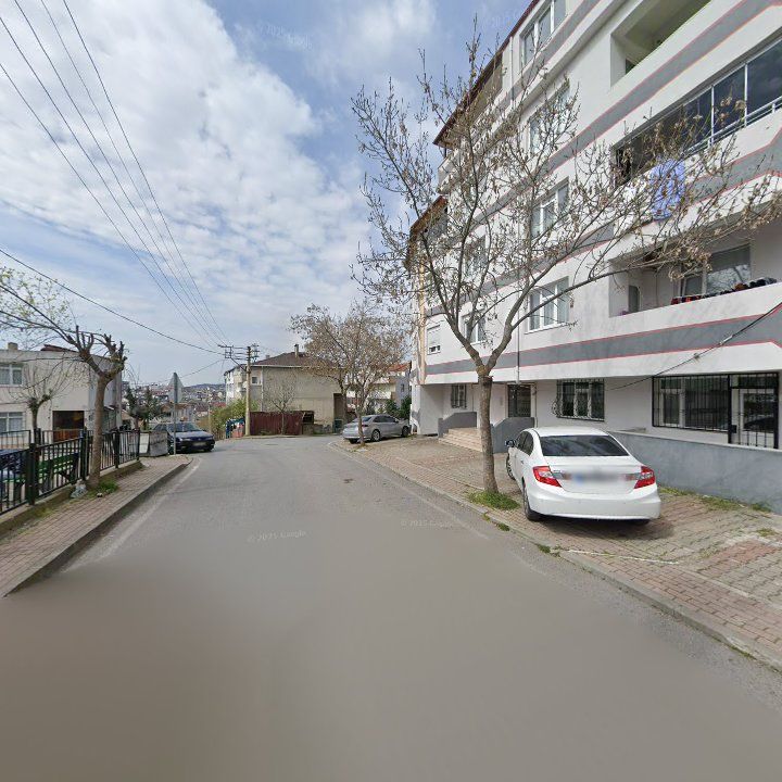 Fotoğraf 9