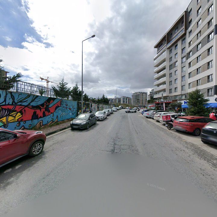 Fotoğraf 7