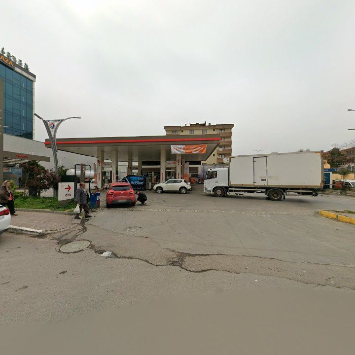 Fotoğraf 3