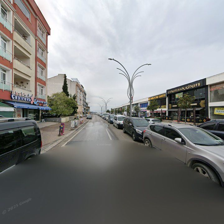 Fotoğraf 7