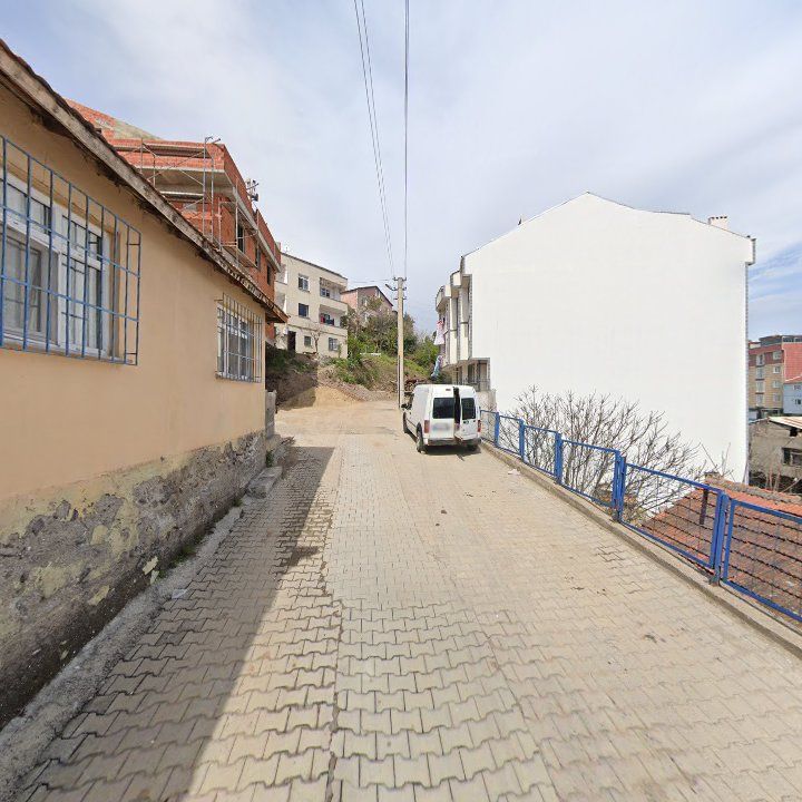 Fotoğraf 7