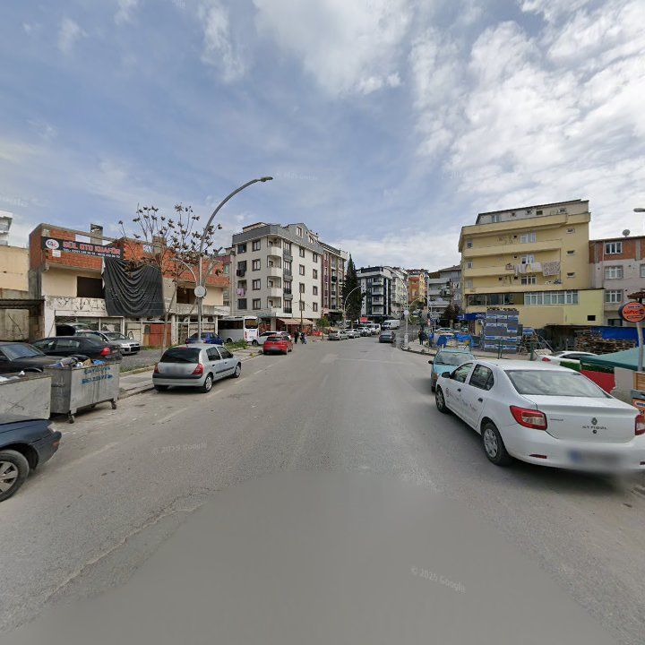 Fotoğraf 7