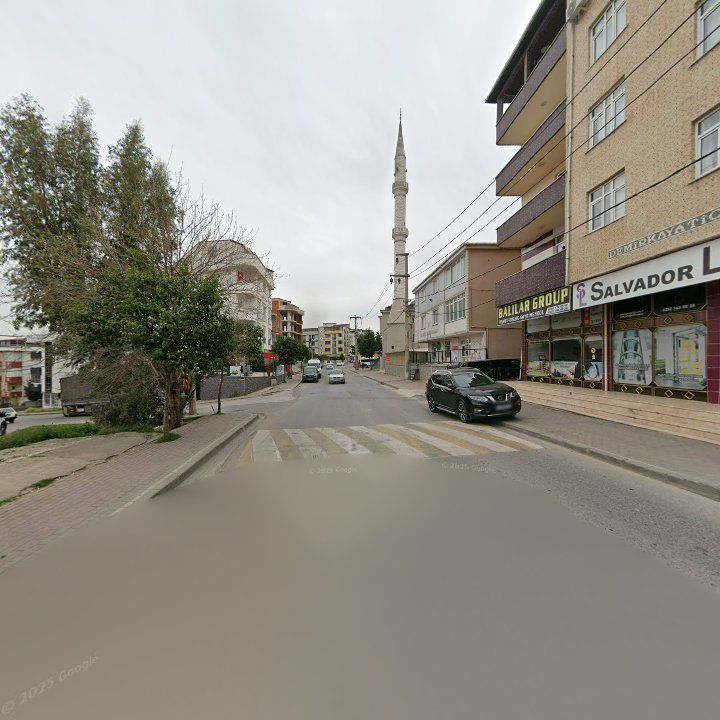 Fotoğraf 5