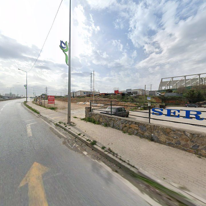 Fotoğraf 12