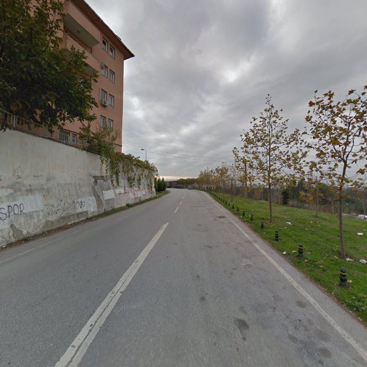 Fotoğraf 12