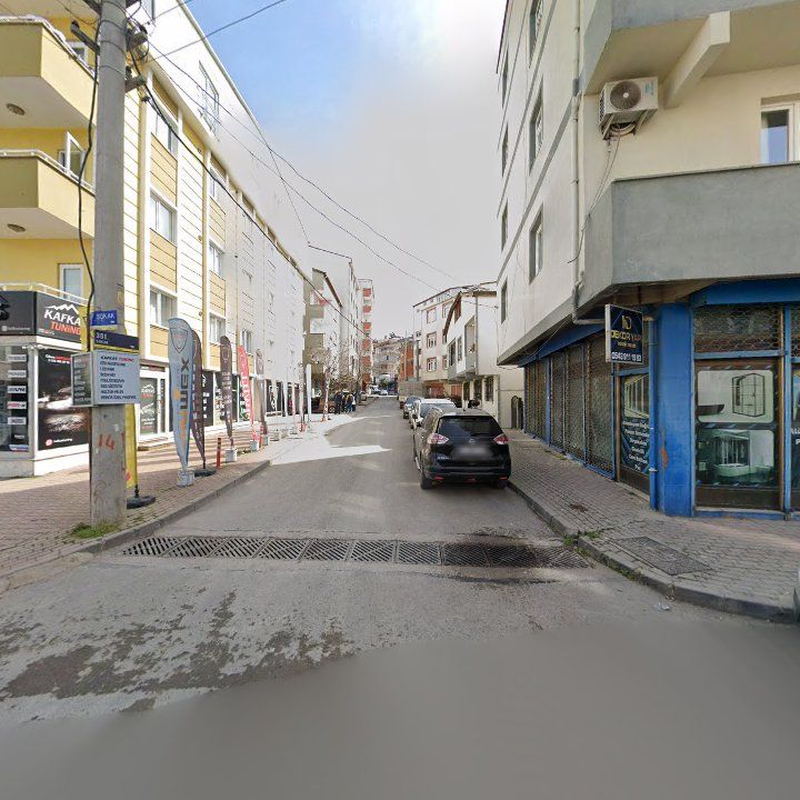 Fotoğraf 12