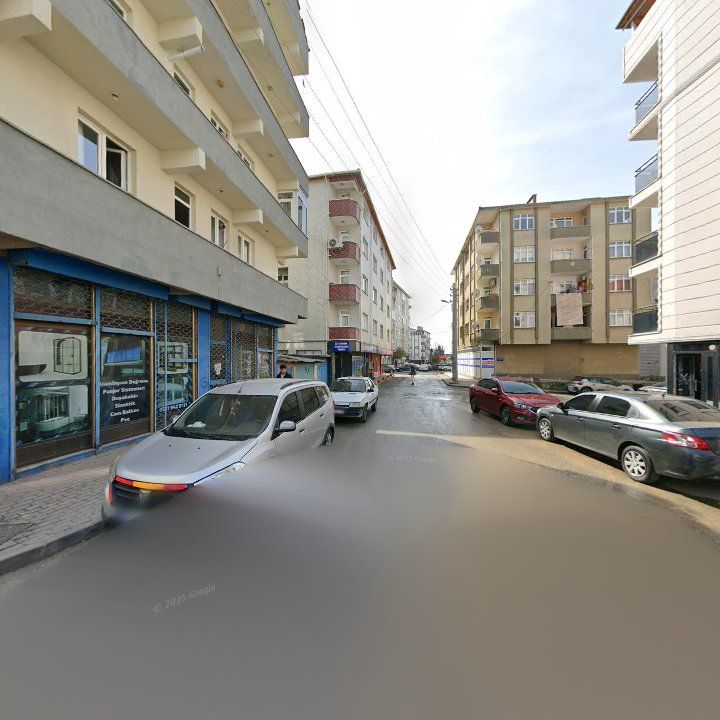 Fotoğraf 13