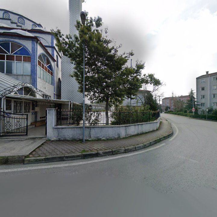 Fotoğraf 10
