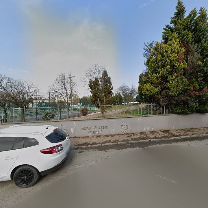 Fotoğraf 8