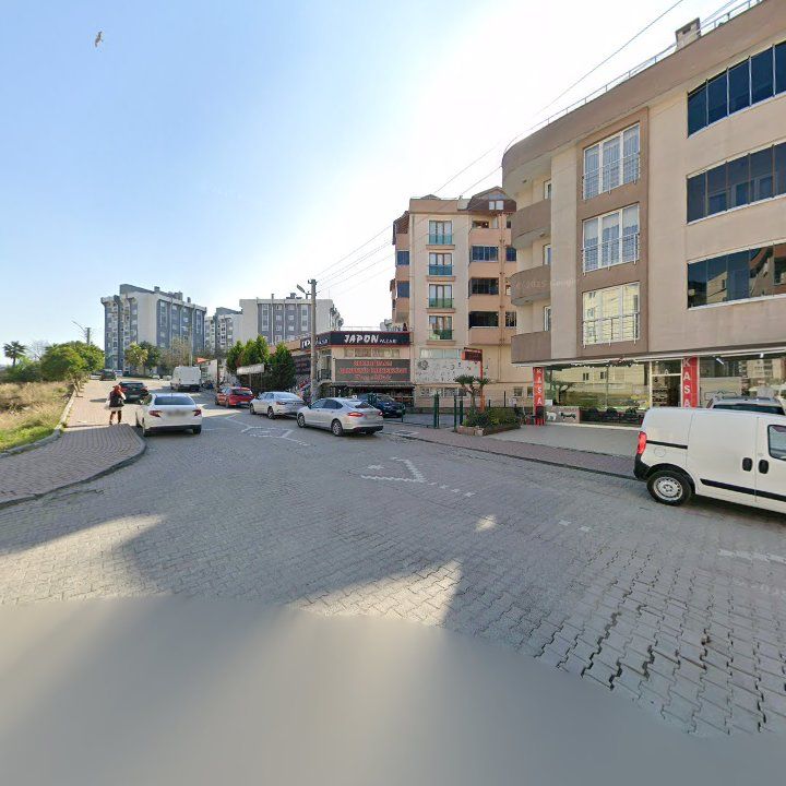 Fotoğraf 10