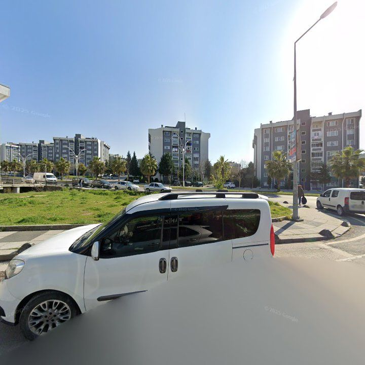 Fotoğraf 7