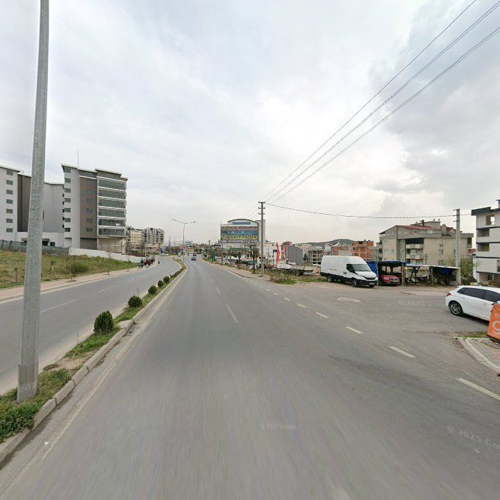 Fotoğraf 8
