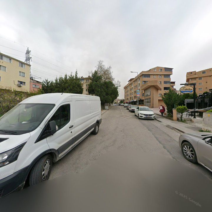 Fotoğraf 12