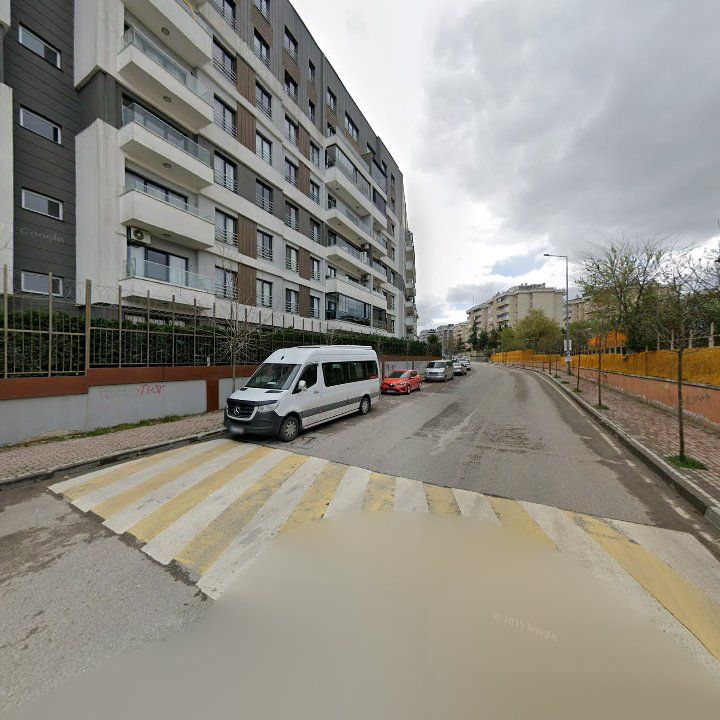 Fotoğraf 10