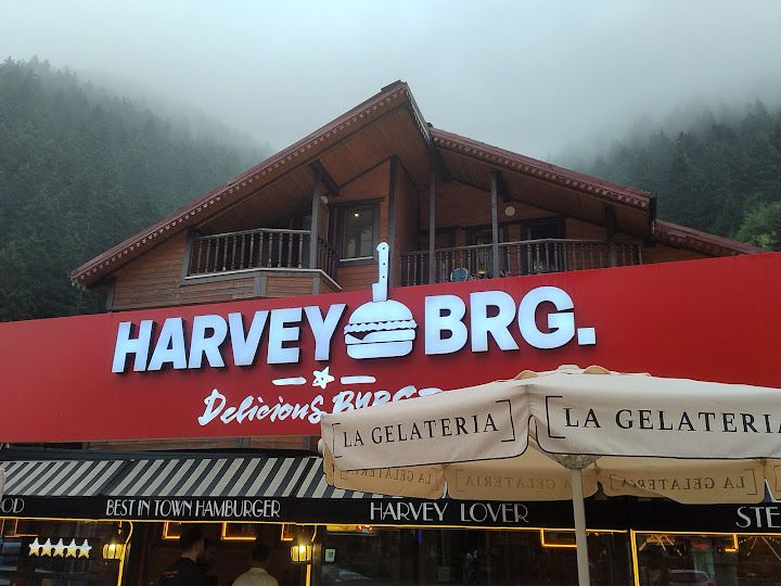 Harvey Burger Uzungöl