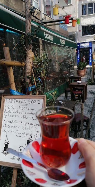 Fotoğraf 15