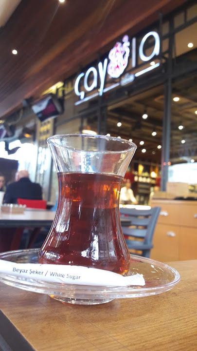 Fotoğraf 17