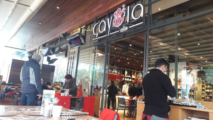Fotoğraf 15