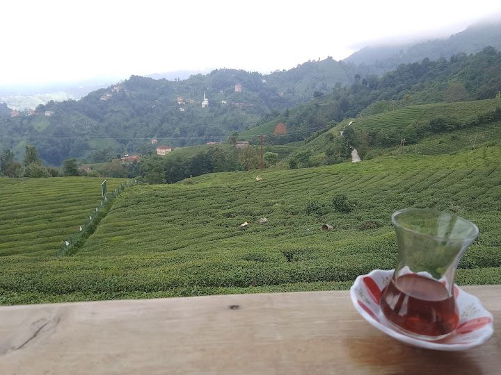 Yorum fotoğrafı 4