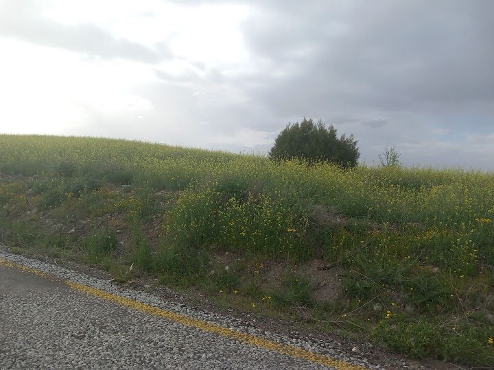 Yorum fotoğrafı 3