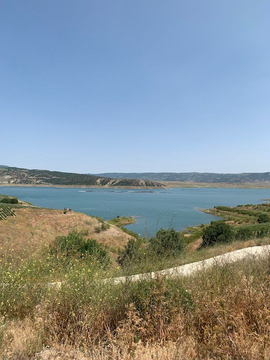 Yorum fotoğrafı 3