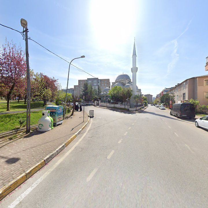 Fotoğraf 11
