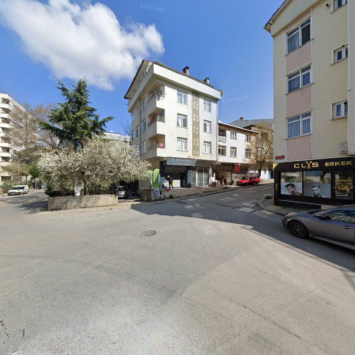 Fotoğraf 8