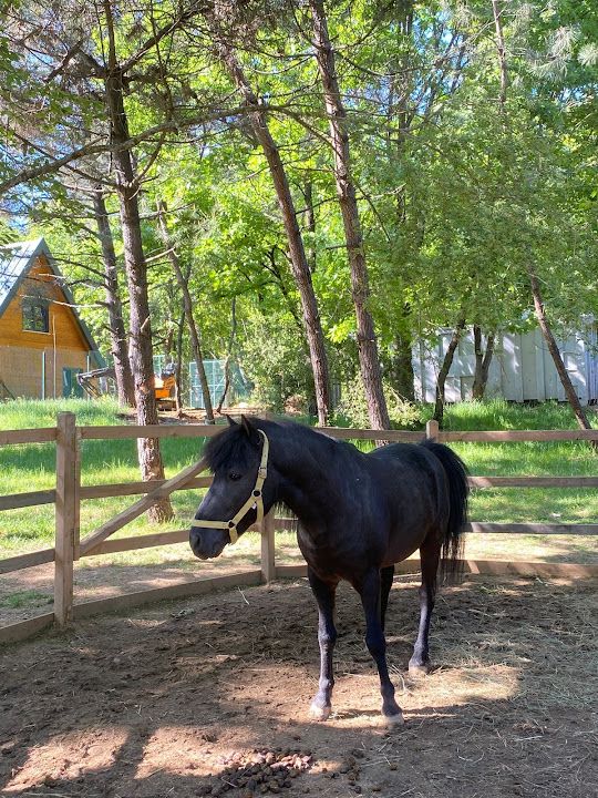 Fotoğraf 67