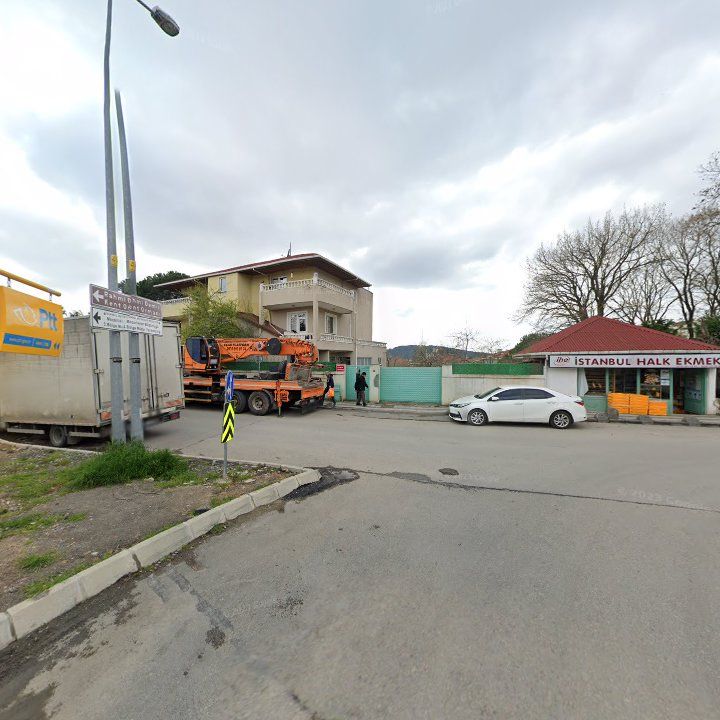 Fotoğraf 9