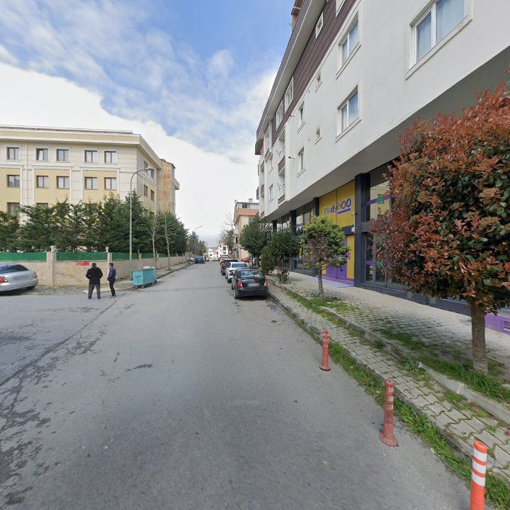Fotoğraf 10
