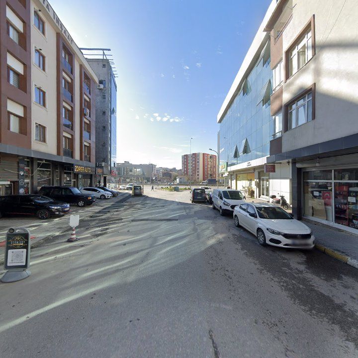 Fotoğraf 11
