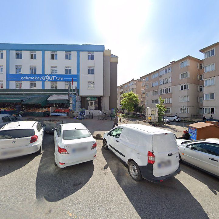 Fotoğraf 7