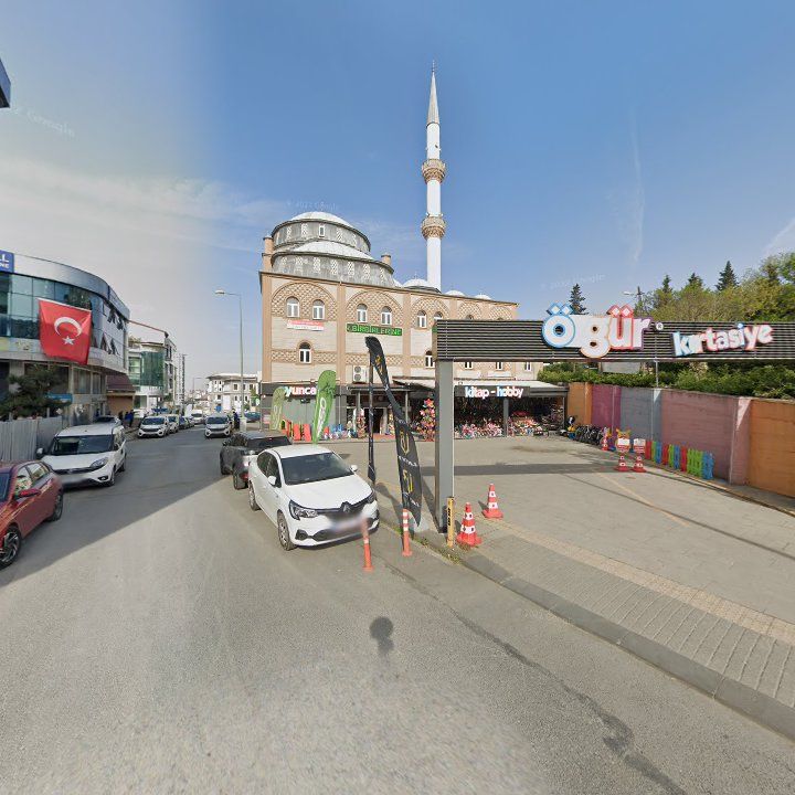 Fotoğraf 7