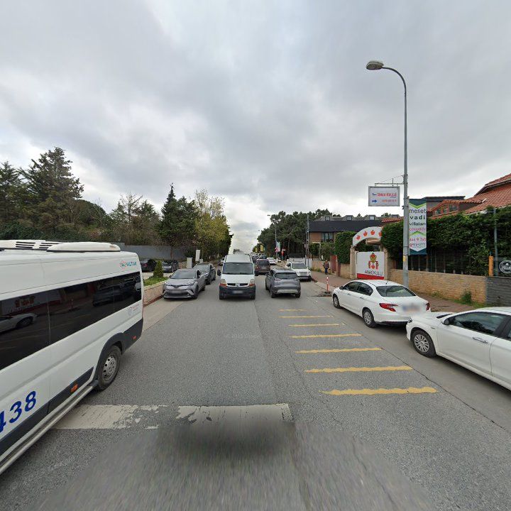 Fotoğraf 11