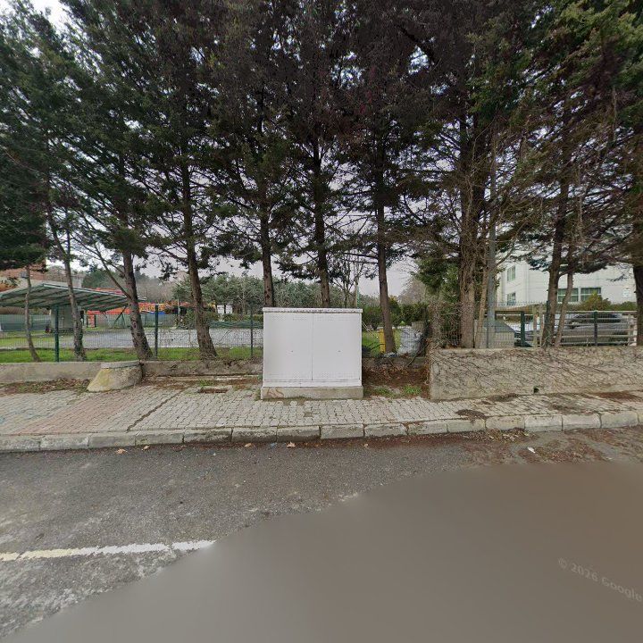 Fotoğraf 8