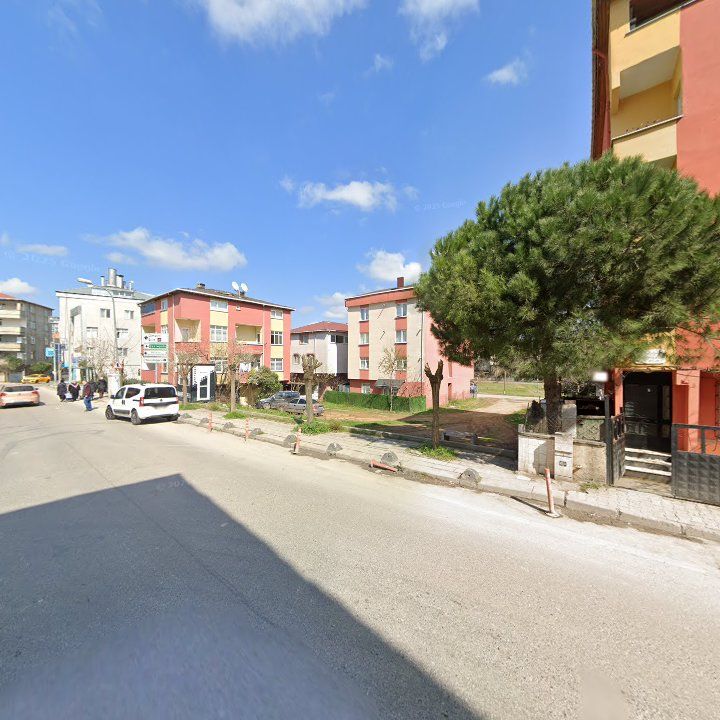 Fotoğraf 8