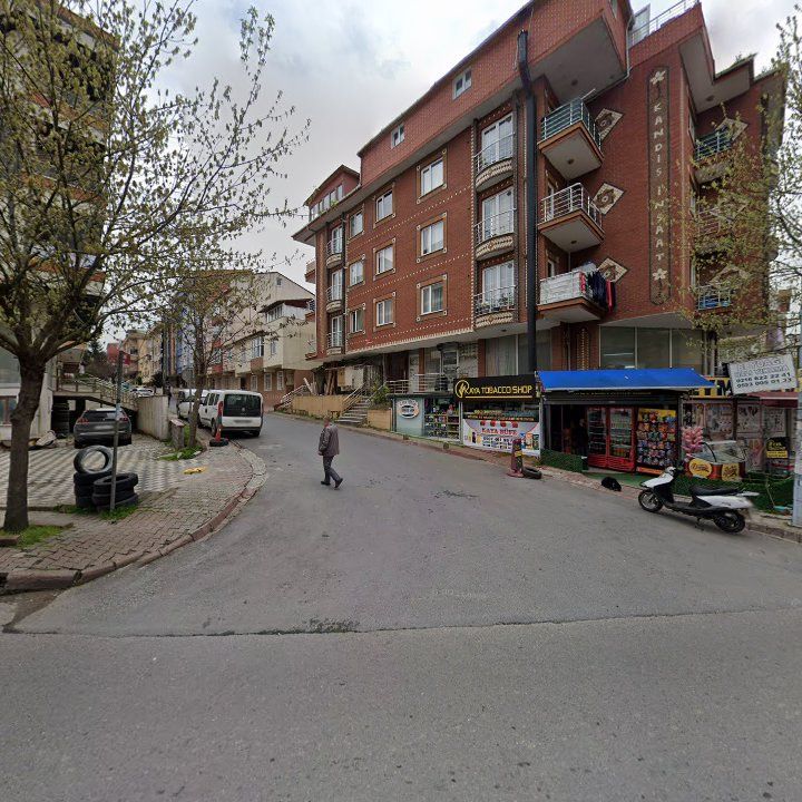 Fotoğraf 10