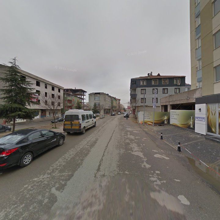 Fotoğraf 12