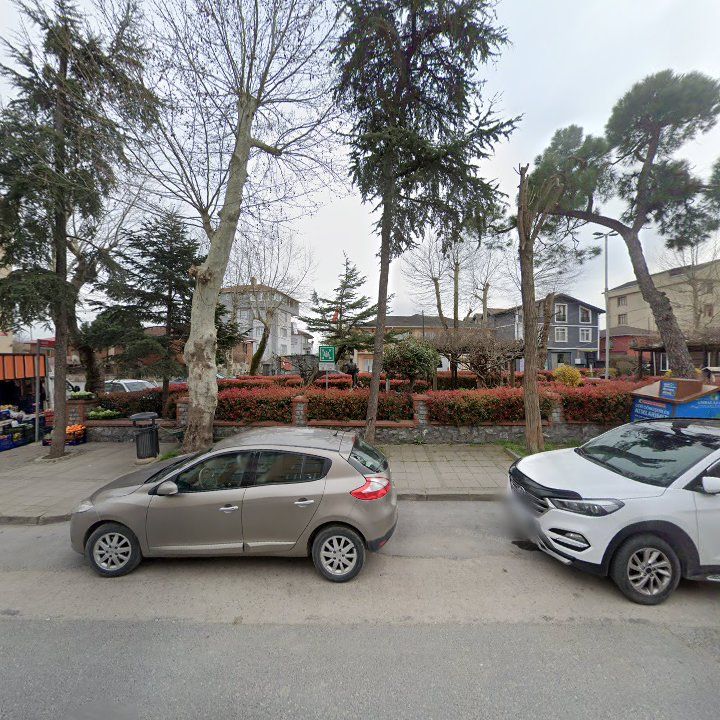 Fotoğraf 10