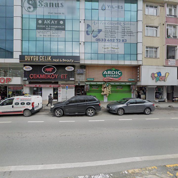 Fotoğraf 11