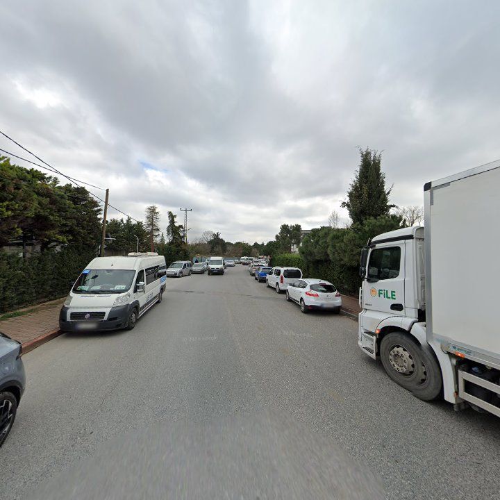 Fotoğraf 11