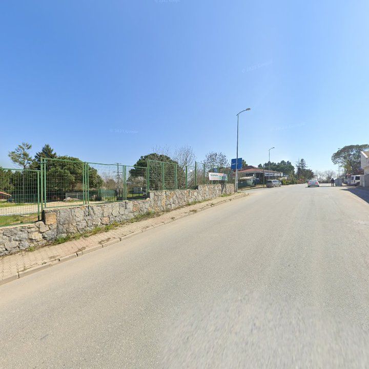 Fotoğraf 10
