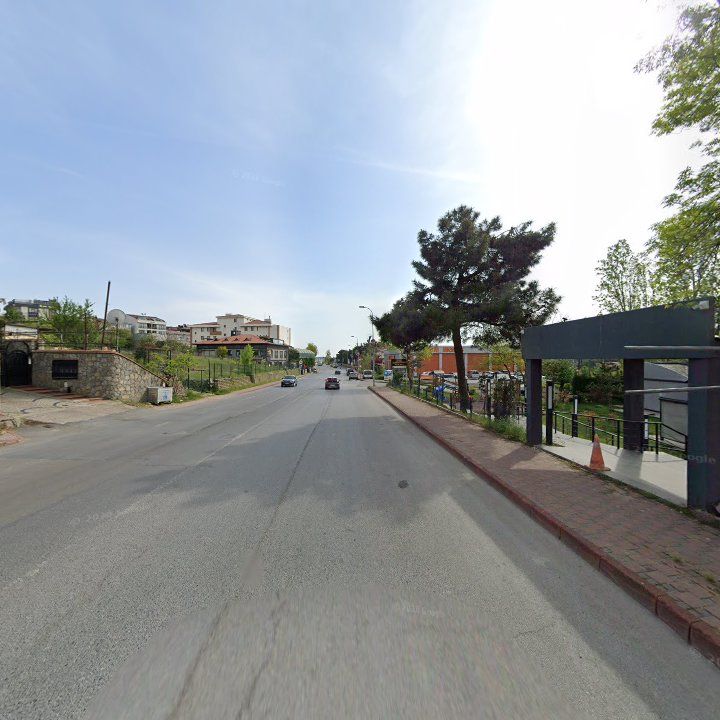Fotoğraf 11