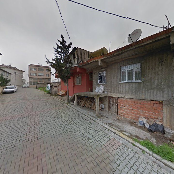 Fotoğraf 3