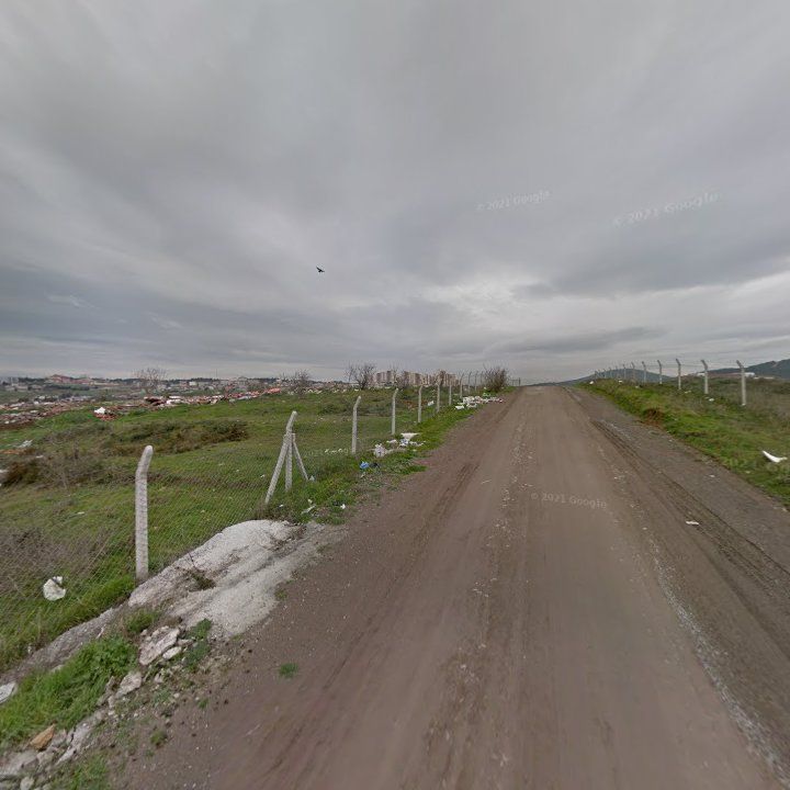 Fotoğraf 10