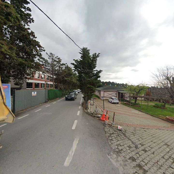 Fotoğraf 10