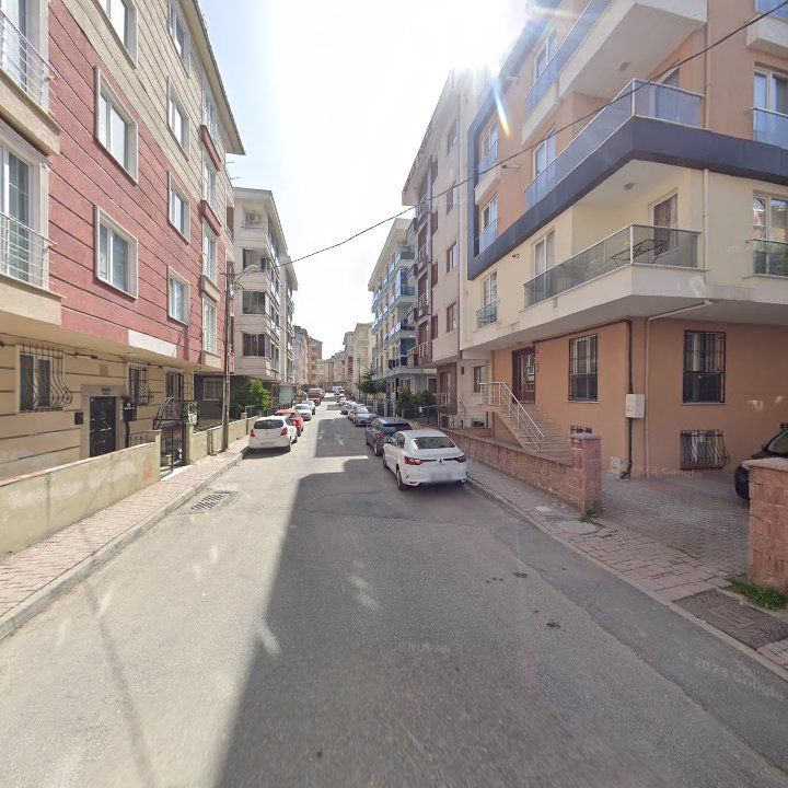 Fotoğraf 10