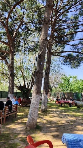 Fotoğraf 21