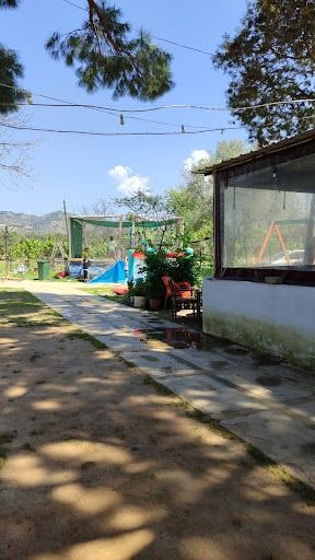 Fotoğraf 22