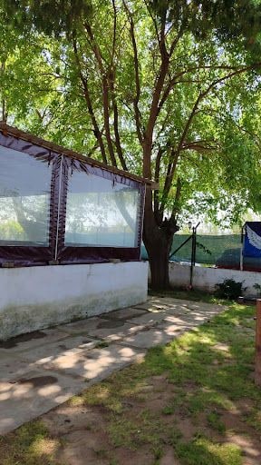 Fotoğraf 23